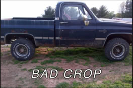 Bad Crop